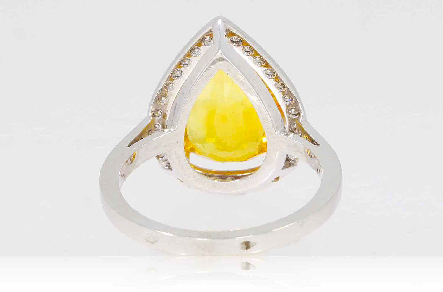 saphire-jaune-poire-dos.jpg