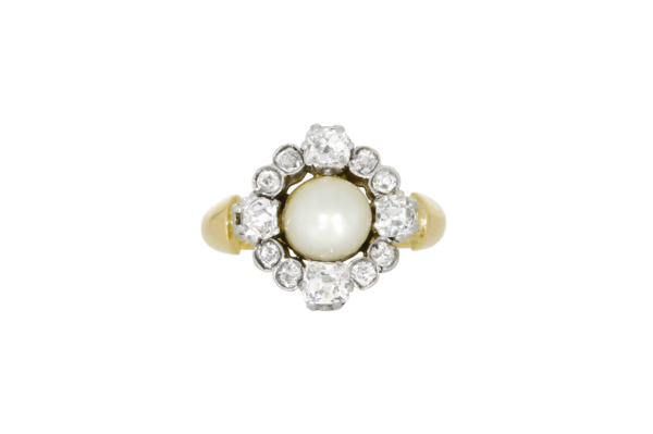 Perle – Image 2