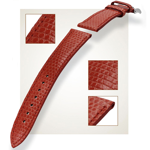 Bcl-Lezard-edit