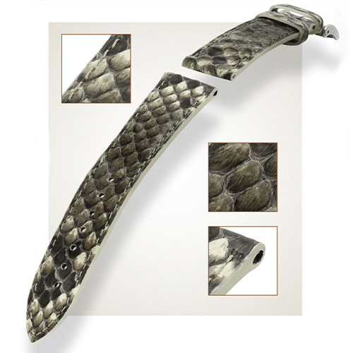 Bcl-Python-edit