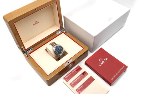 Seamaster Aqua Terra – Image 3