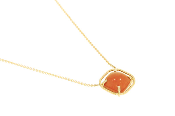 Corail – Image 2