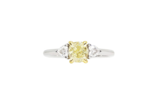 Fancy yellow – Image 2
