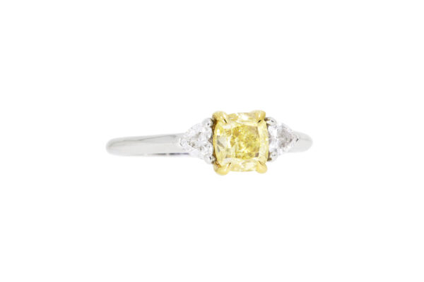 Fancy yellow – Image 3