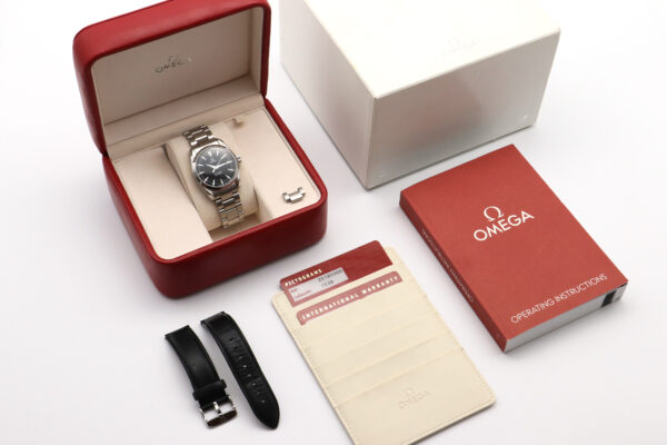 Seamaster Aqua Terra – Image 3