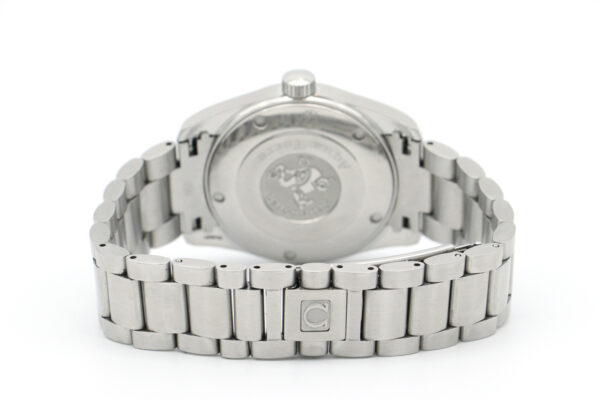 Seamaster Aqua Terra – Image 2