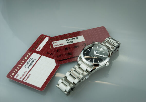 Seamaster Aquaterra – Image 4